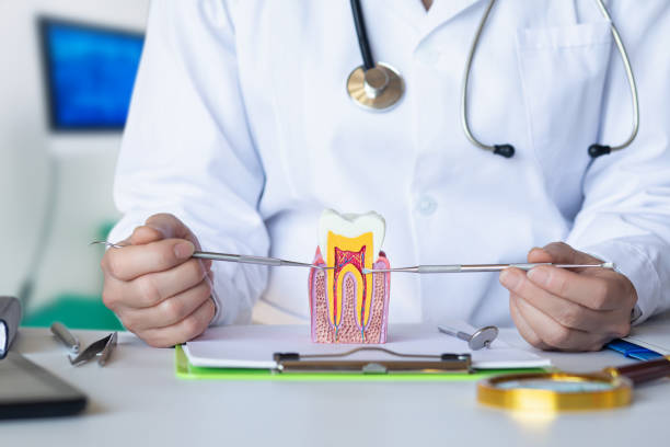 Best Tooth Pain Emergency Relief  in Indian River Shores, FL